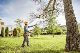 Best Lawn Drainage Solutions  in Monticello, MN