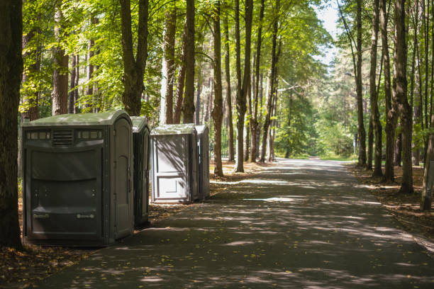 Monticello, MN Tree Removal Company